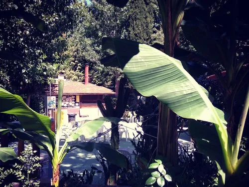 Camping Porticciolo 5