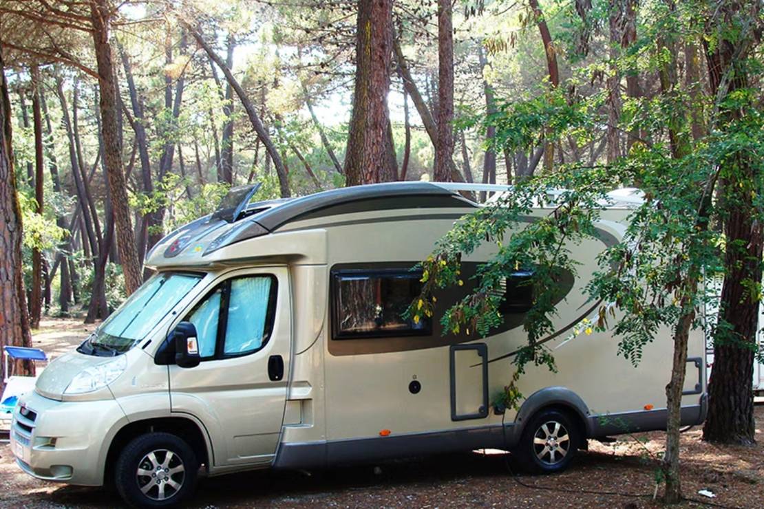 Camping Principina i Toscana - camping.info