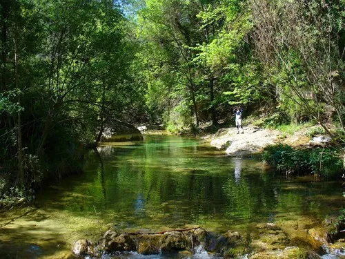 Camping Puente de las Herrerías 6