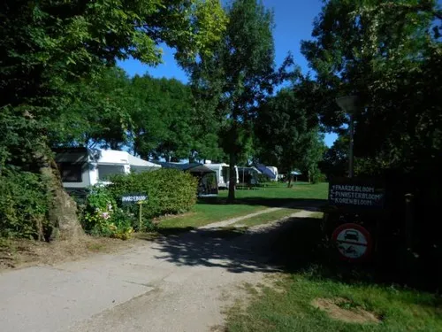 Camping Raayerhof 4