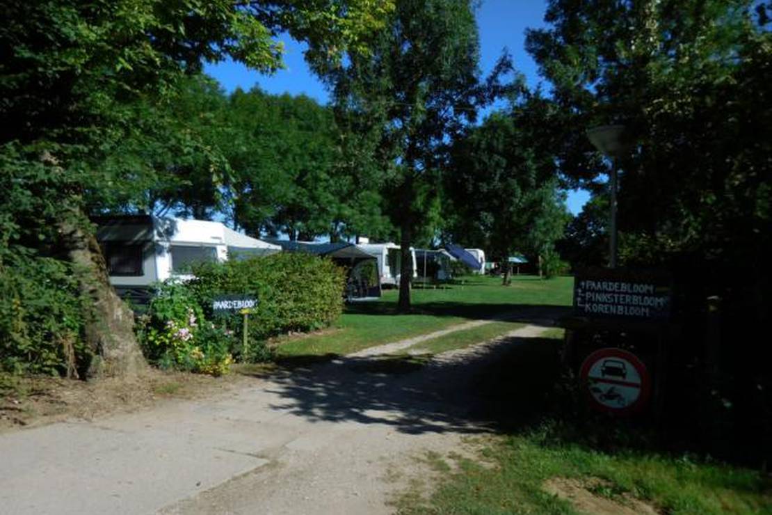 Camping Raayerhof 5