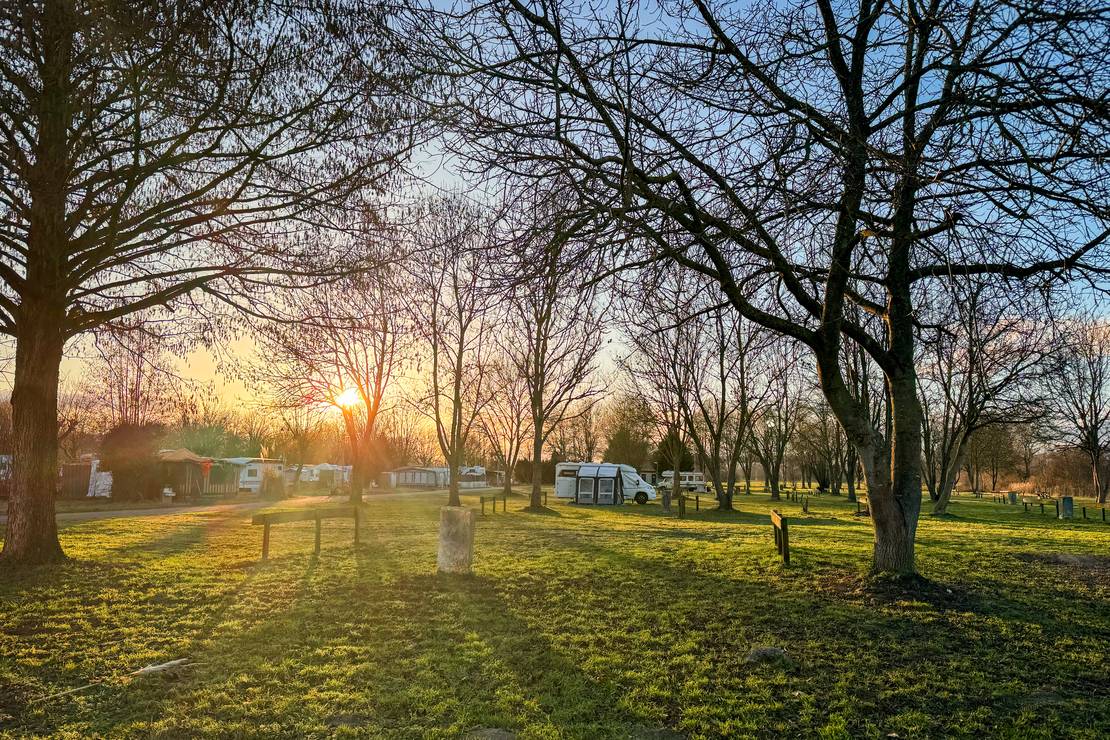 ****Camping Resort Rülzheim 8