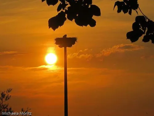 Camping Rittergut Frankenfeld 7