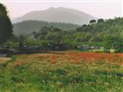 Camping Riudarenes 3