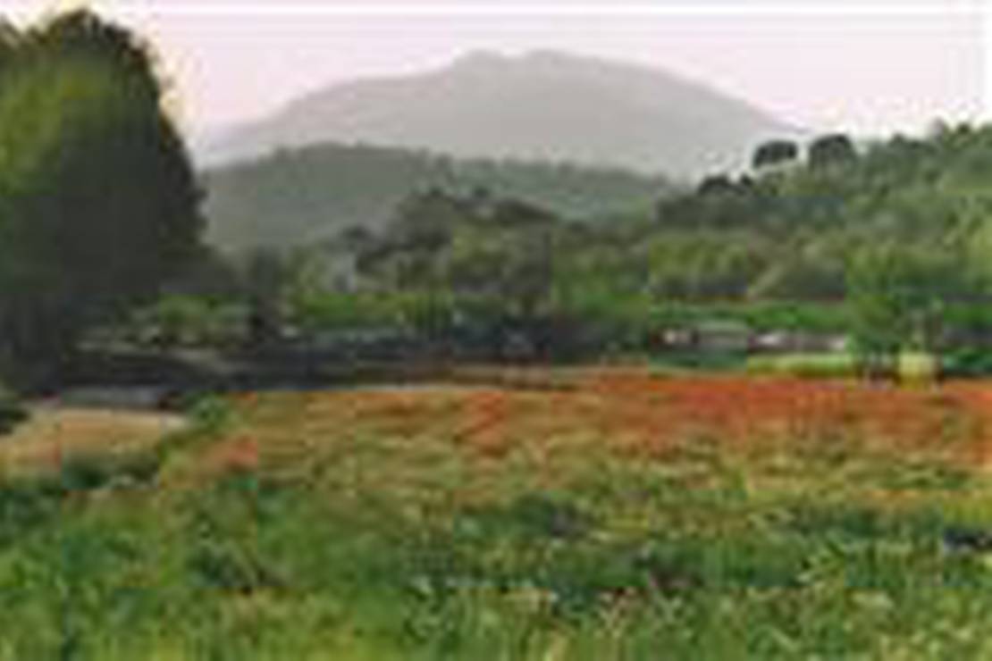 Camping Riudarenes 4