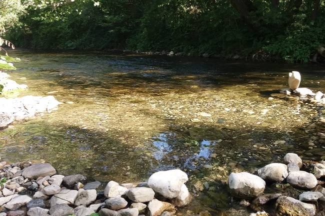 Camping River image 18