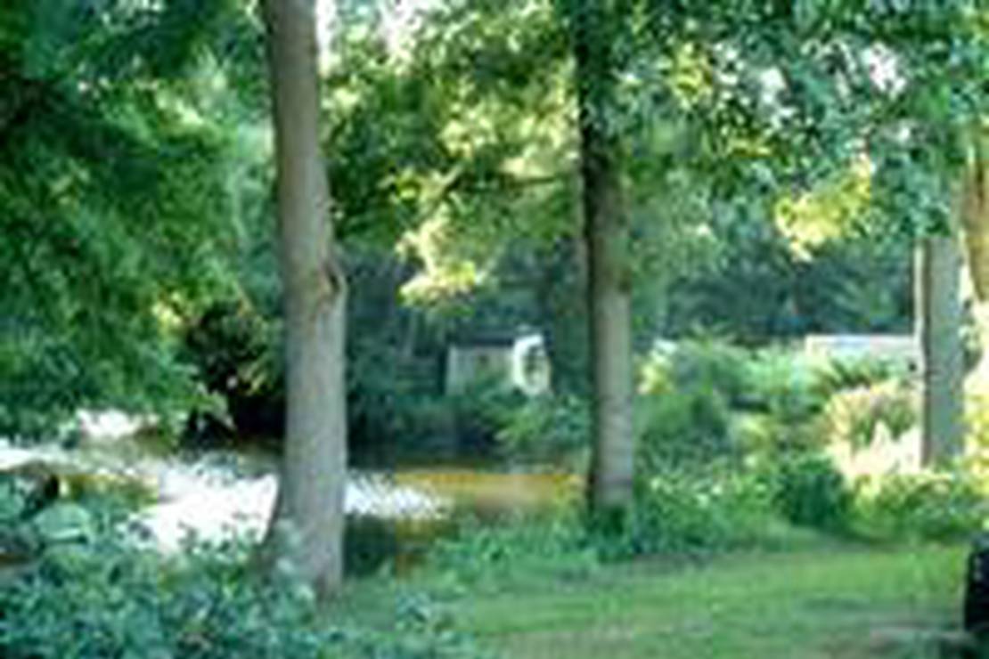 Camping Rivo Torto 4