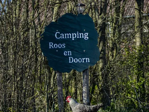 Camping Roos en Doorn 9