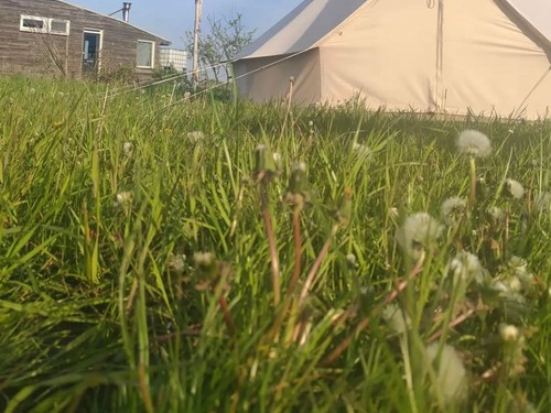 Camping Rorik image 2