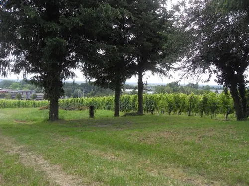 Camping rural de Bachert Jean-louis 6