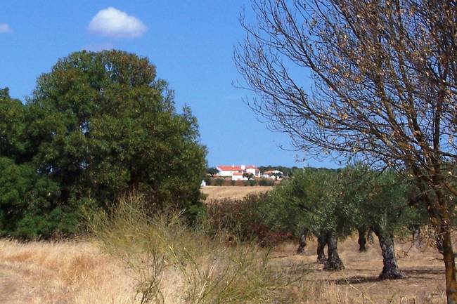 camping os anjos and the diverse landscape 