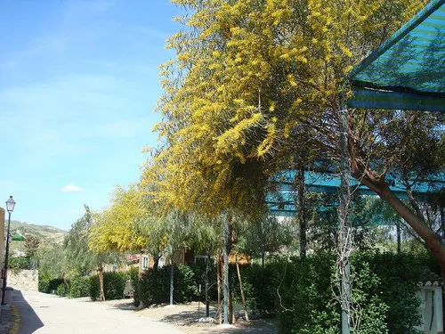 Camping Rural Presa de la Viñuela 5