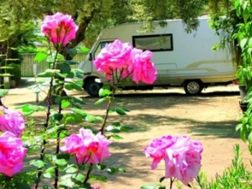 Camping Sabbiadoro 8