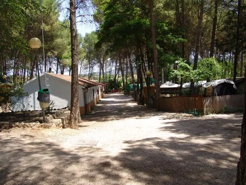 Camping Sacedón 2
