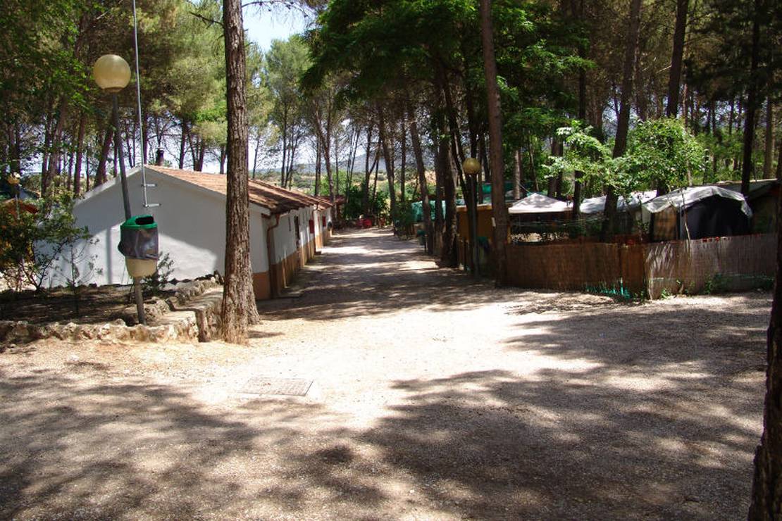 Camping Sacedón 3