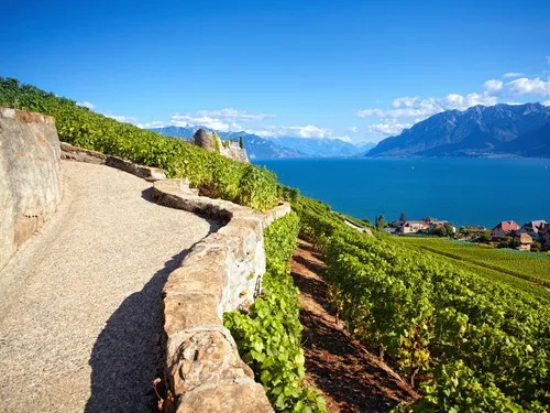 Camping Saint Disdille 6