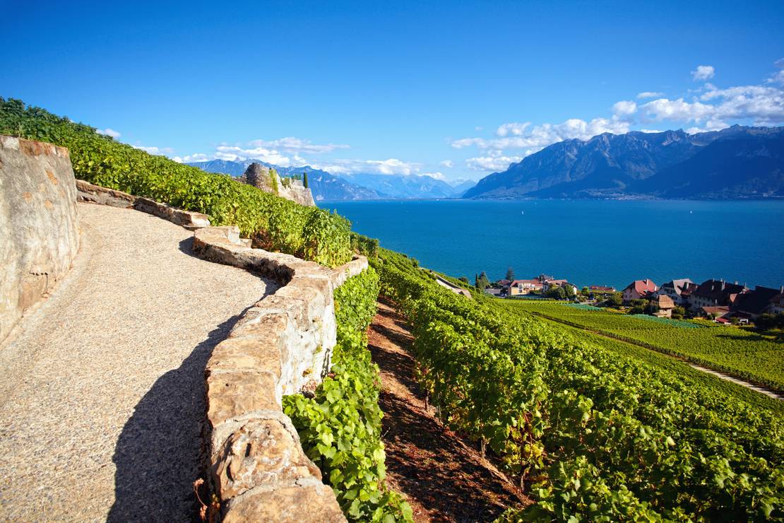 Camping Saint Disdille 7