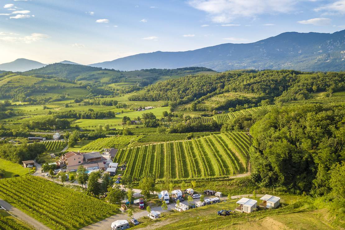 Saxida Wine & Camping Resort 5