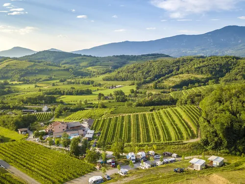 Saxida Wine & Camping Resort 4