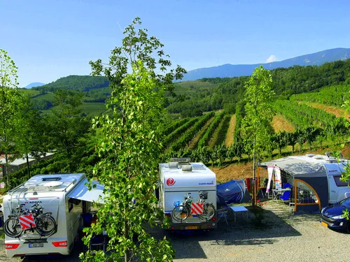 Saxida Wine & Camping Resort 6