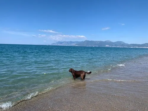 Camping Lido di Salerno 9