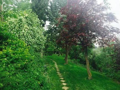 Camping Cortijo "San Isicio" 4