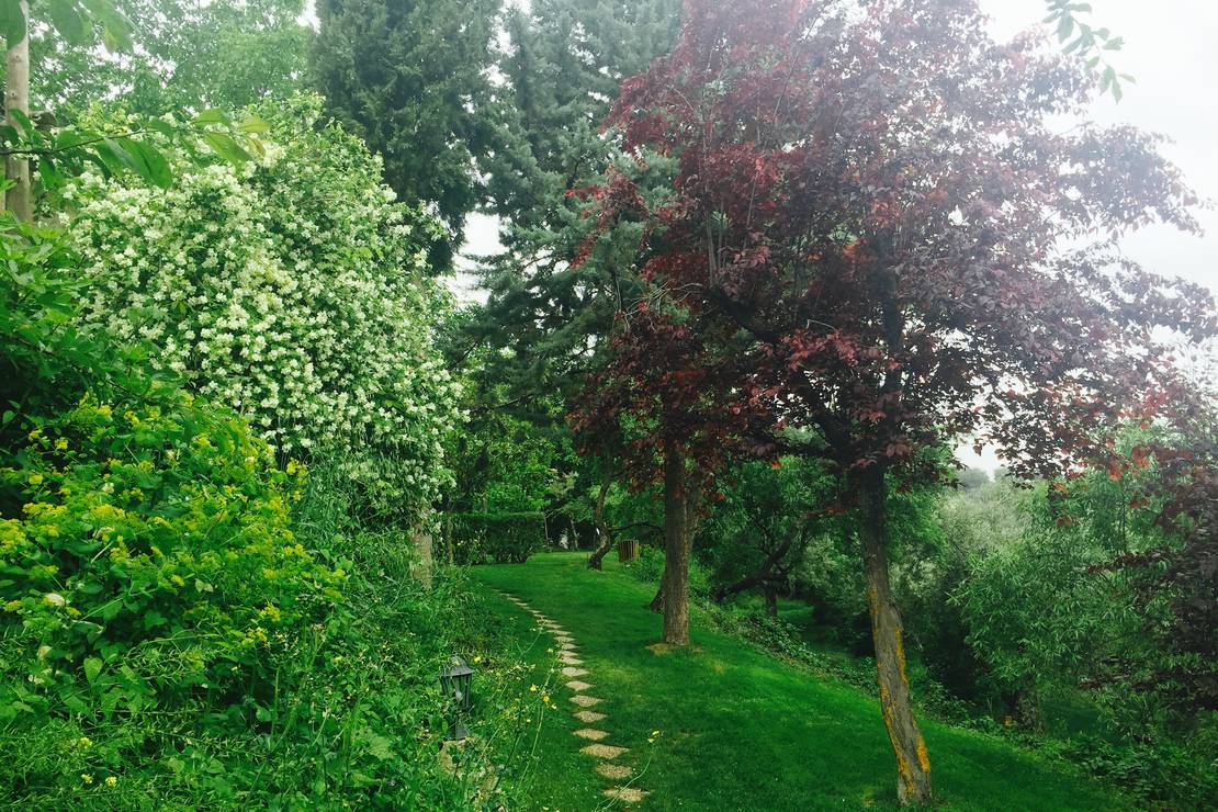 Camping Cortijo "San Isicio" 5