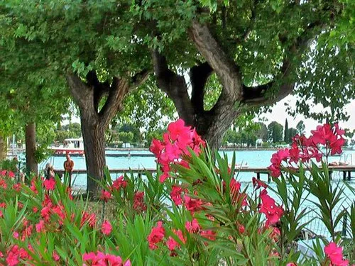 Camping San Nicolo 6