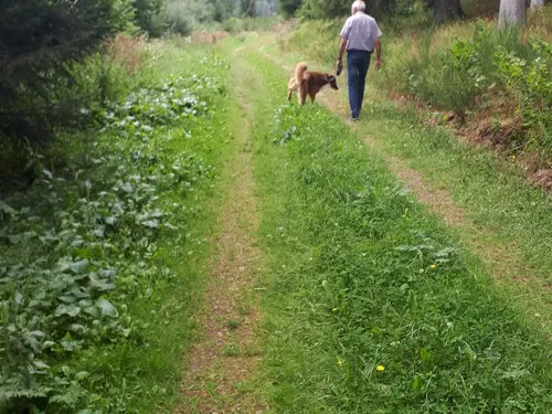 Camping Schliprüthener Mühle 6