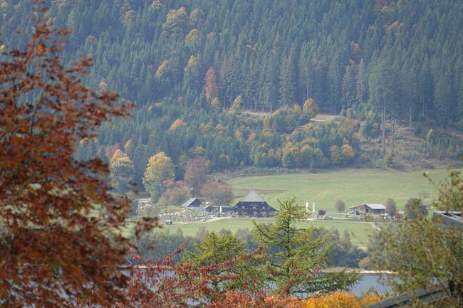 Blick vom Campingplatz auf den Unterkrummenhof