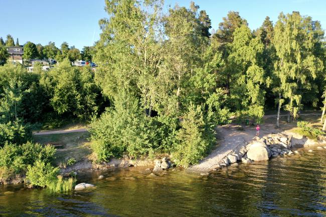 Ufer des Schluchsees