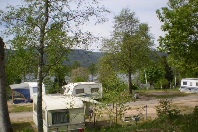 Nach Forstarbeiten im Frühling haben unsere Camper endlich wieder Seesicht...