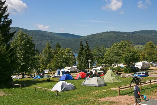Campingplatz Schluchsee "Zeltwiese"