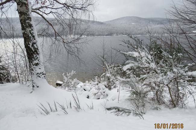 Schnee am Schluchsee