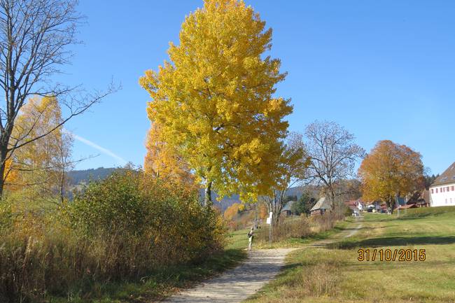 Herbstidylle 2015