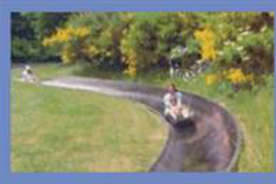 Camping Schulz Altenahr 7