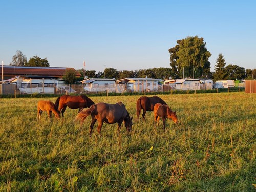Camping Schurrenhof GmbH image 2