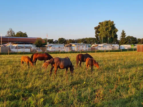 Camping Schurrenhof GmbH 8