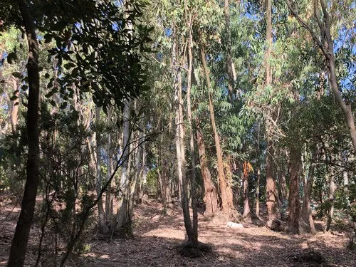 Camping Sciopadroxiu 7