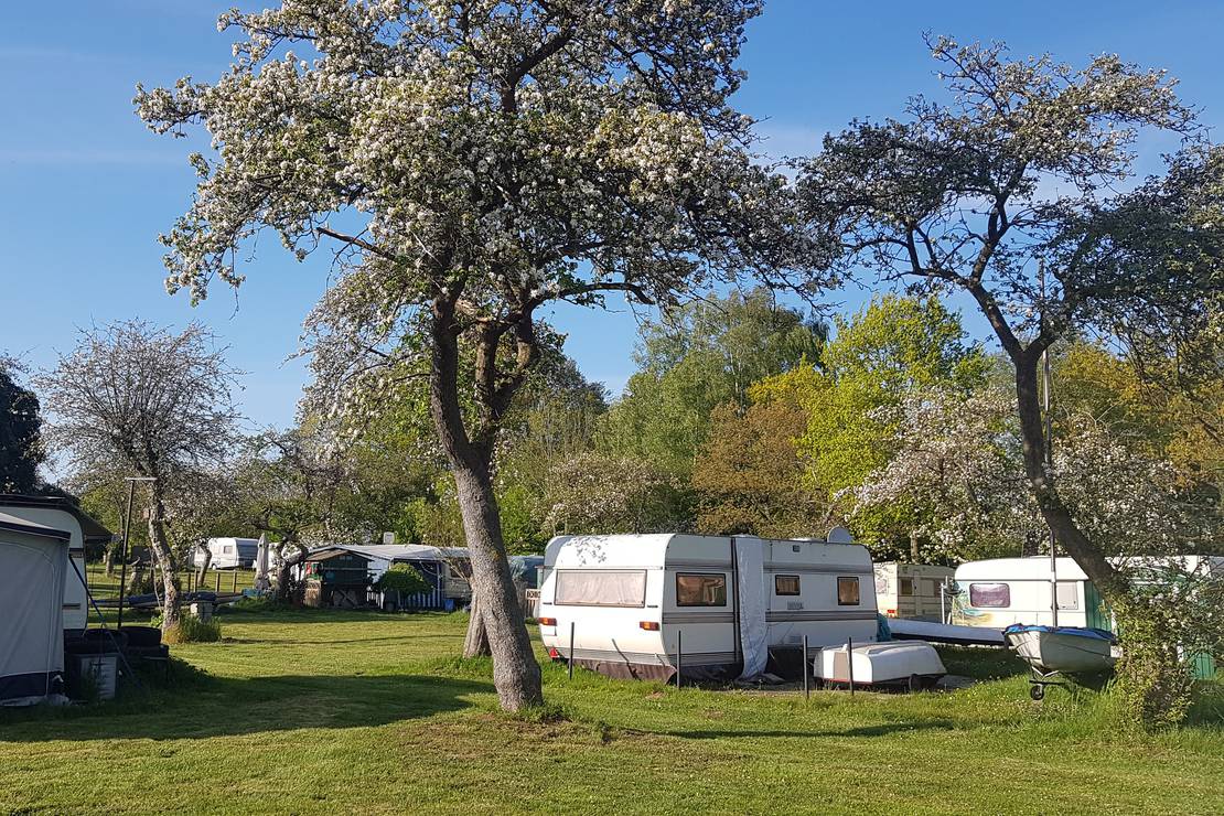 Naturcamping Seekamp 4