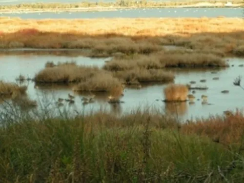 Camping S`Ena Arrubia 8