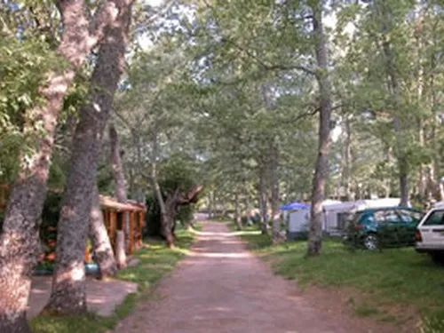 Camping Sierra de Francia 2
