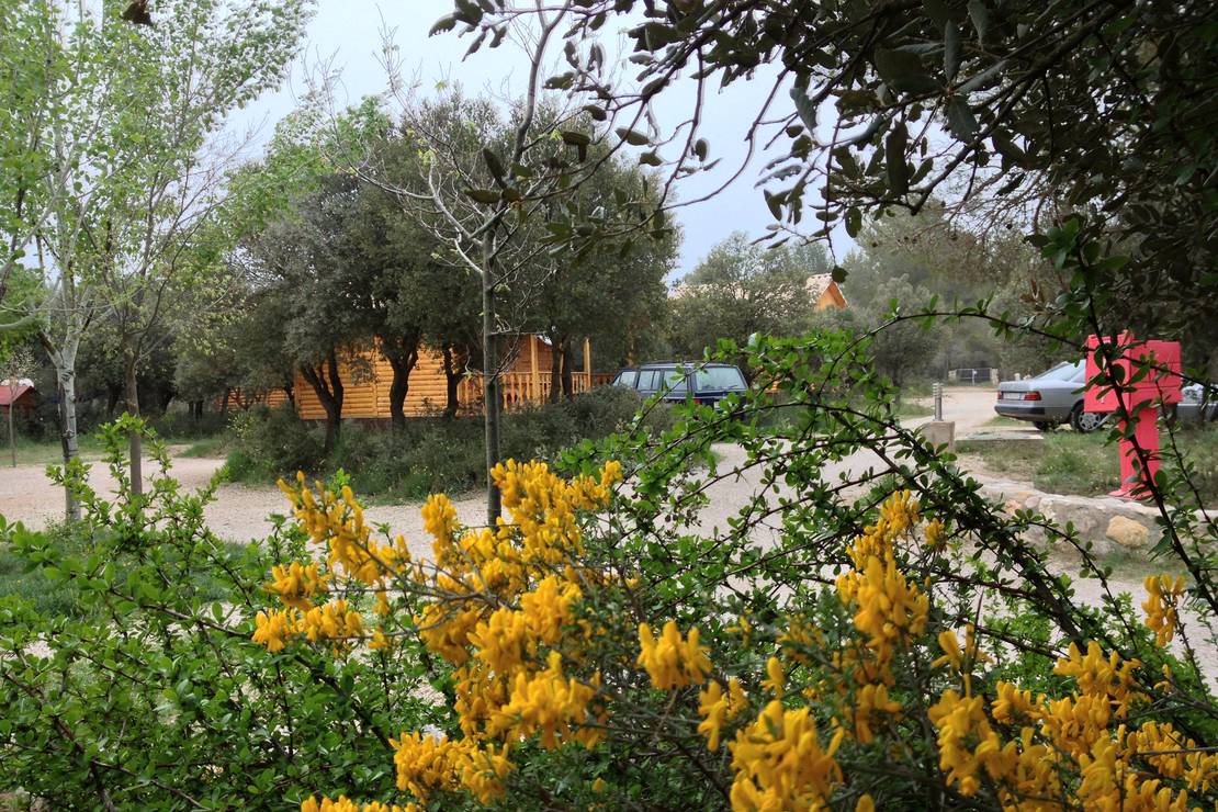 Camping Sierra De María 4