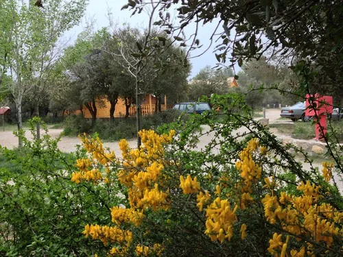 Camping Sierra De María 3