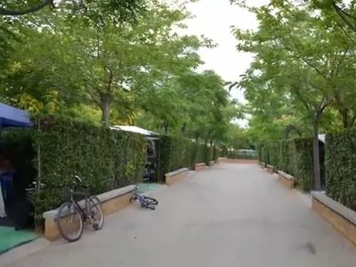 Camping Sirena Dorada 2