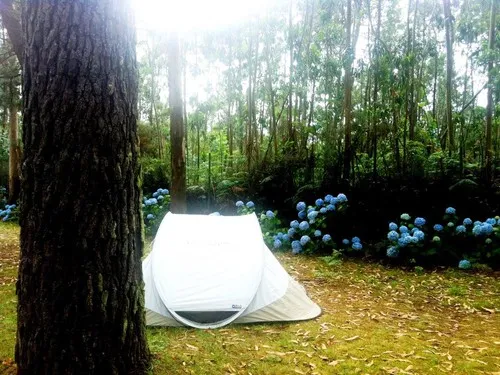 Camping Sisargas 5