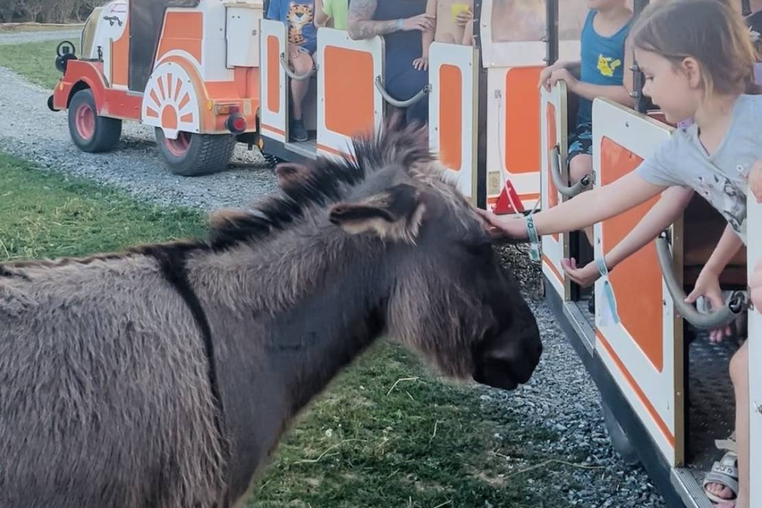 Camping Sonnenland Lutzmannsburg 10