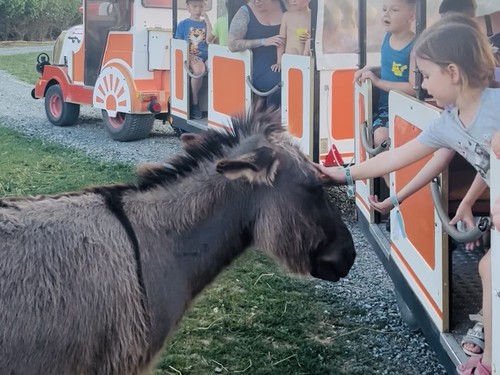 Camping Sonnenland Lutzmannsburg image 1