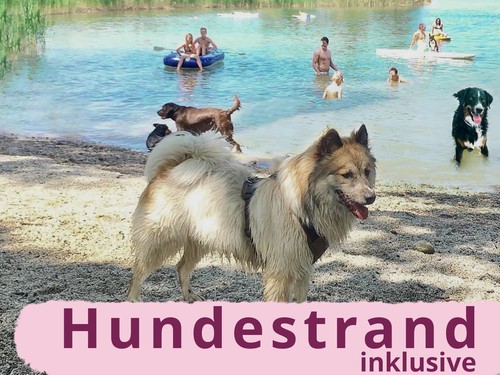 Camping Sonnenland Lutzmannsburg image 1