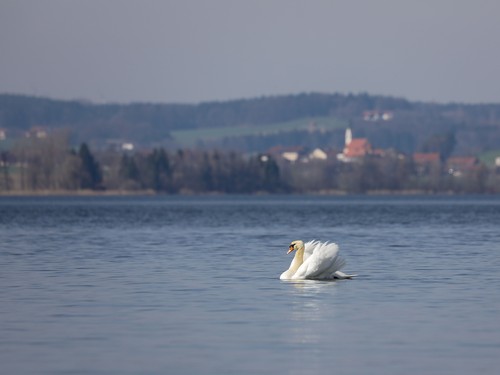 Camping Strandbad Bootsverleih Wagner 2